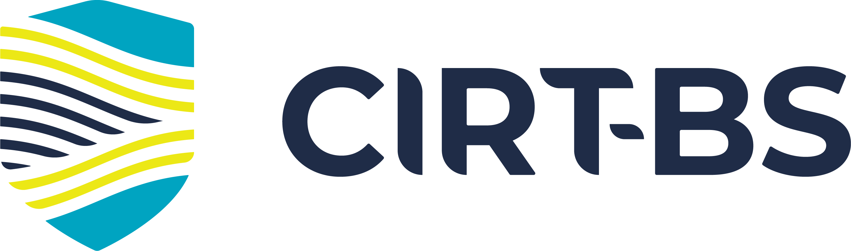 CIRT-BS Dark Logo@2x